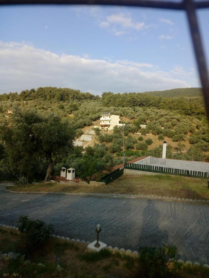 העיירה סקיאתוס Villa Krini מראה חיצוני תמונה