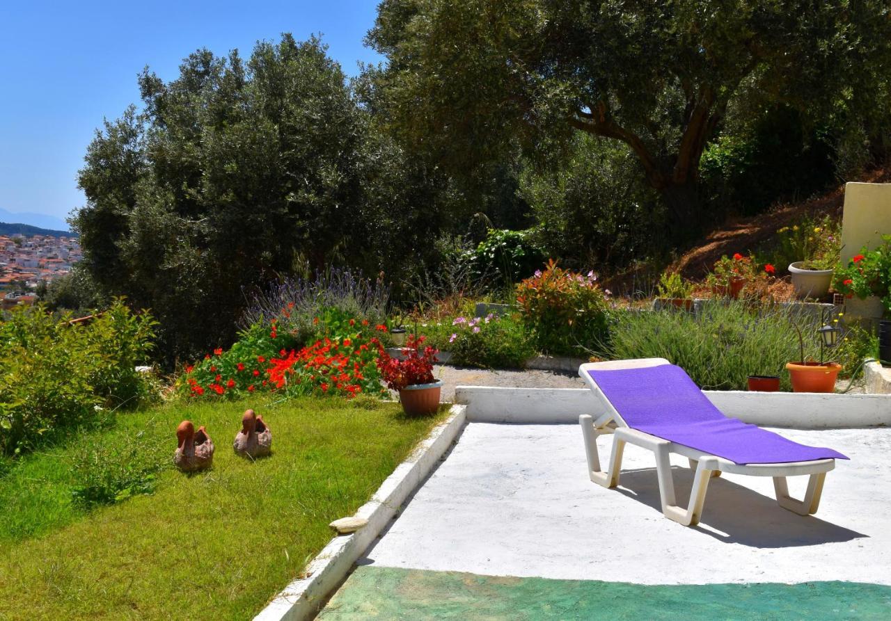 העיירה סקיאתוס Villa Krini מראה חיצוני תמונה
