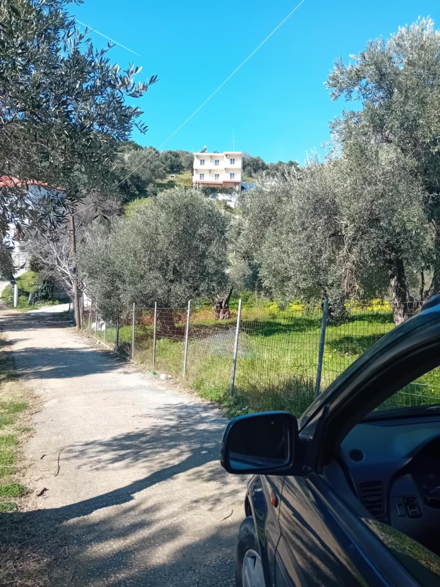 העיירה סקיאתוס Villa Krini מראה חיצוני תמונה