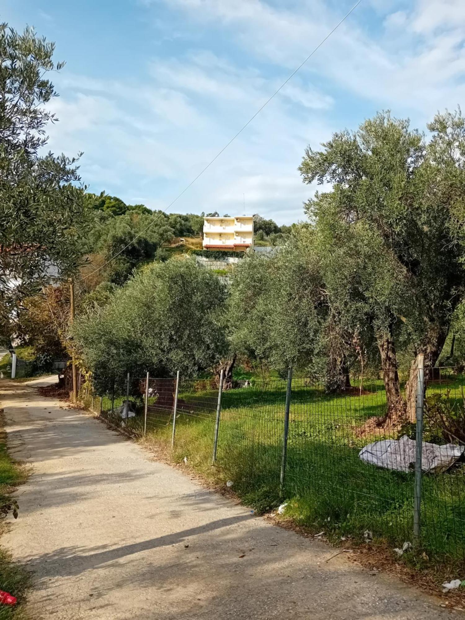 העיירה סקיאתוס Villa Krini מראה חיצוני תמונה