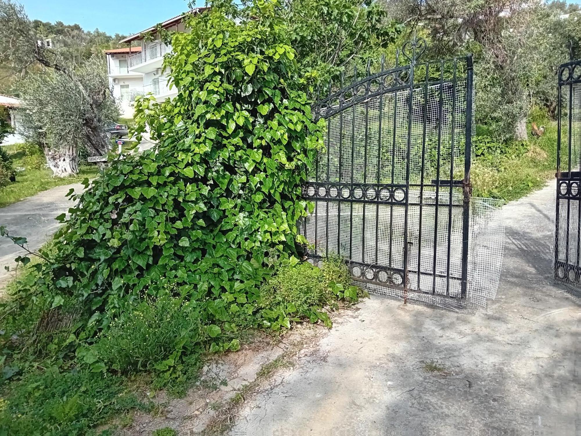 העיירה סקיאתוס Villa Krini מראה חיצוני תמונה
